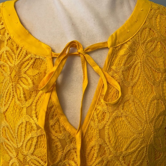 Torrid Babydoll Swiss flutter sleeve lace top - Picture 10 of 11